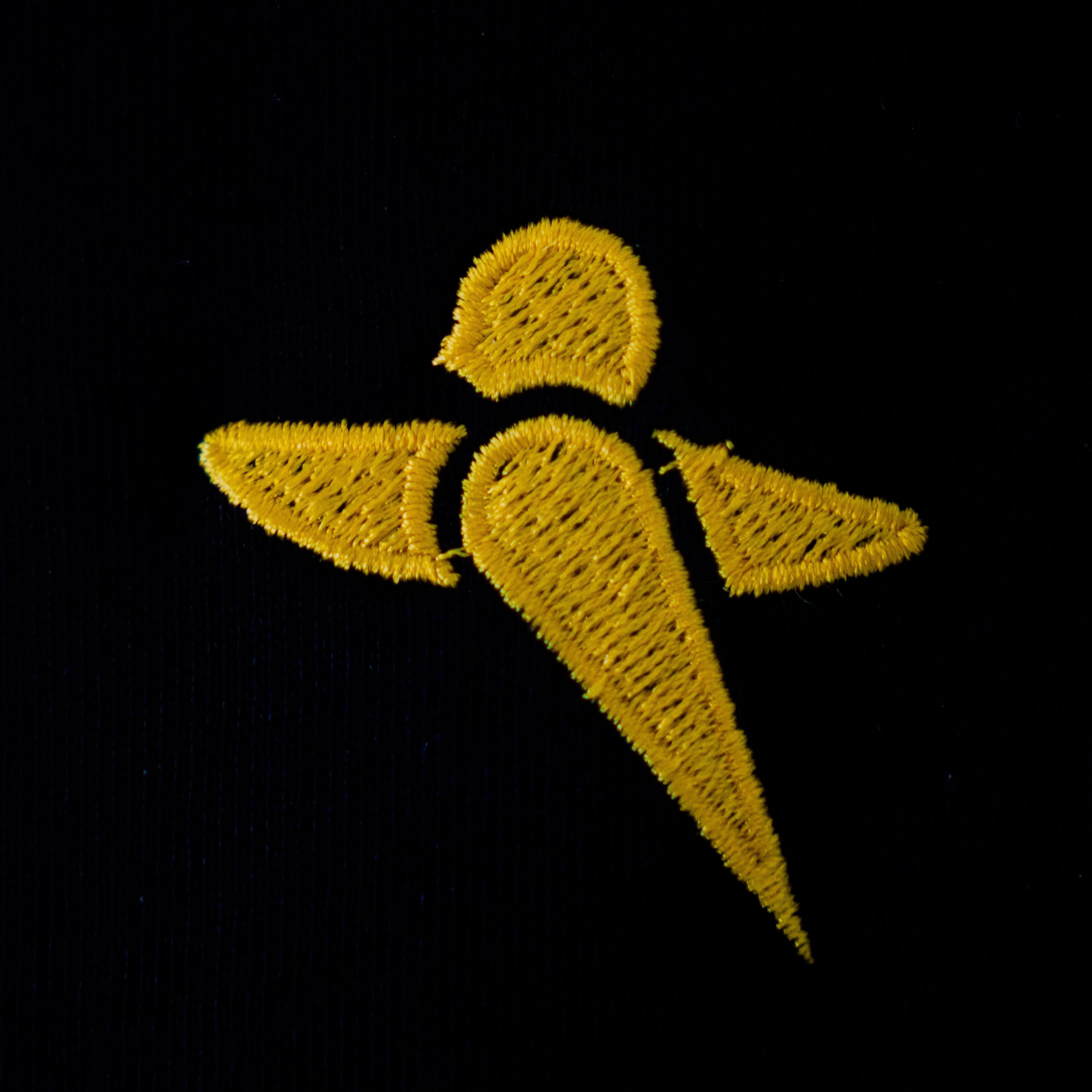 Das erste PACUS T-Shirt